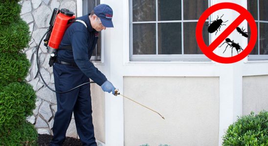Sarız Hamam Böceği İlaçlama böcek ilaçlama ve haşere kontrolü — ilaclama-tr.com